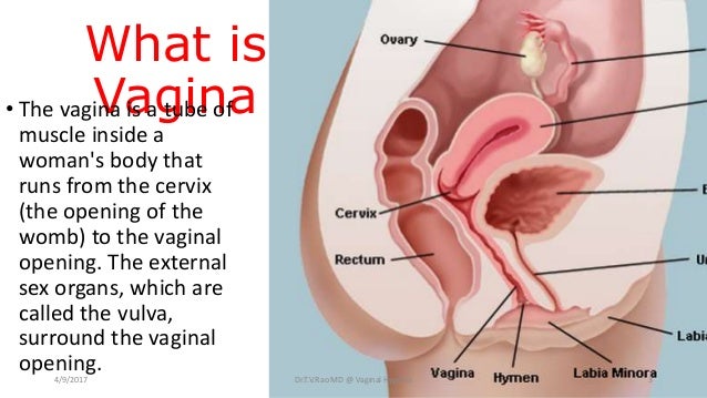 inside womans vagina Inside womans vagina